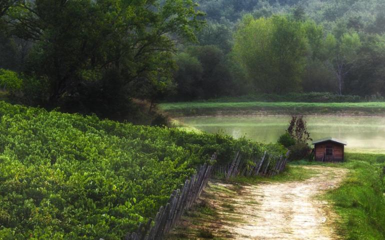 Festa delle Donne del Vino 2020 – Degustazione “EN PLAIN AIR” presso il piccolo lago di POGGIO DEL MORO